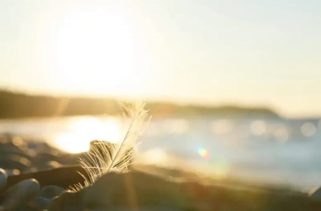 Signs from the spirit world